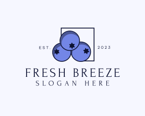 Fresh Blueberry Fruit logo design