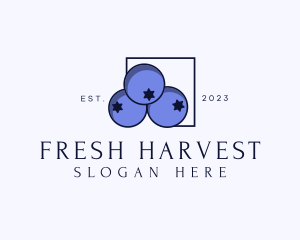 Fresh Blueberry Fruit logo