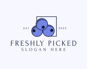 Fresh Blueberry Fruit logo design