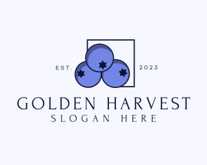 Fresh Blueberry Fruit logo design