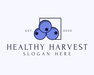 Fresh Blueberry Fruit logo design