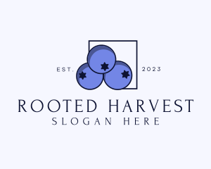 Fresh Blueberry Fruit logo design