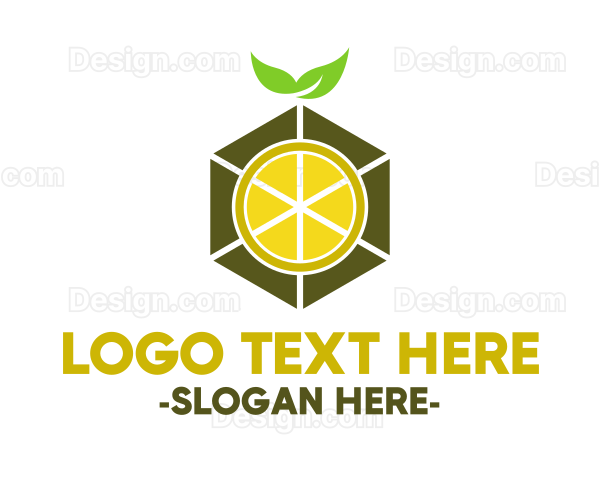 Hexagon Lemon Slice Logo