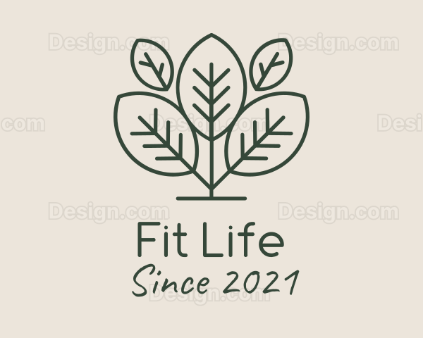 Organic Herbal Tea Logo