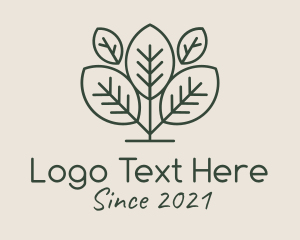 Fermented - Organic Herbal Tea logo design