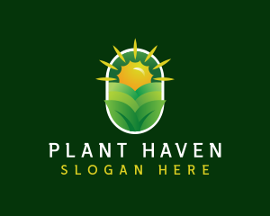 Sun Farm Plant logo design