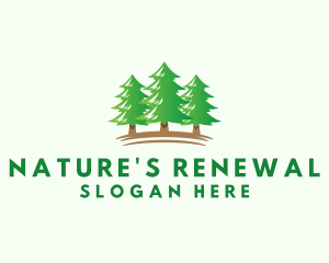 Pine Tree Forest logo