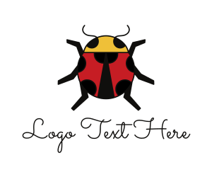 Geometric Lady Bug logo