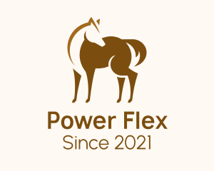 Brown Horse Stallion logo design