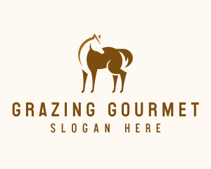 Brown Horse Stallion logo design