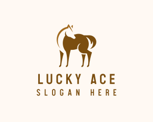 Brown Horse Stallion logo design