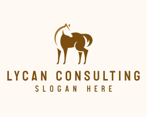 Brown Horse Stallion logo design