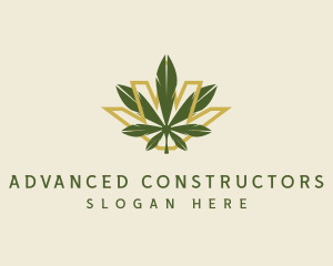 Cannabis Leaf Plant logo design