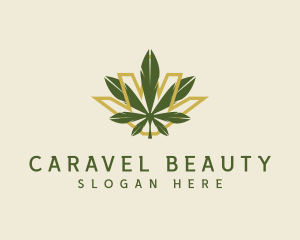 Cannabis Leaf Plant logo design