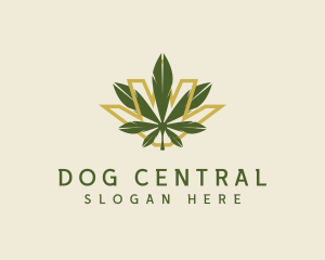 Cannabis Leaf Plant logo design