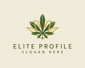 Cannabis Leaf Plant logo design