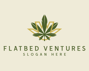 Cannabis Leaf Plant logo design