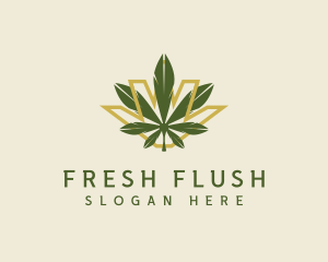 Cannabis Leaf Plant logo design