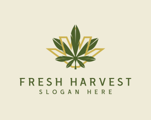 Cannabis Leaf Plant logo design