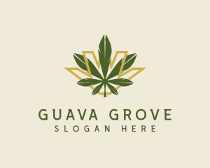 Cannabis Leaf Plant logo design