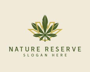 Cannabis Leaf Plant logo design