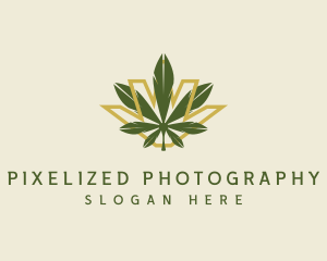 Cannabis Leaf Plant logo design