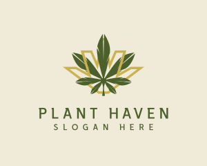 Cannabis Leaf Plant logo design