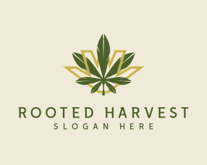 Cannabis Leaf Plant logo design