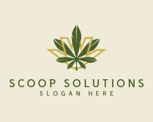 Cannabis Leaf Plant logo design