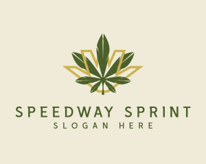 Cannabis Leaf Plant logo design