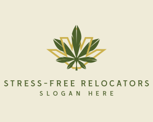 Cannabis Leaf Plant logo design