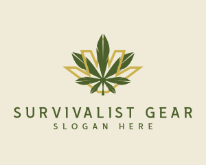 Cannabis Leaf Plant logo design