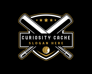 Team Cricket Sports  logo design