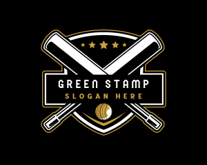 Team Cricket Sports  logo design