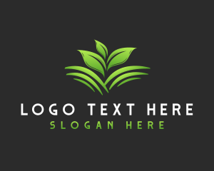 Plant Leaves Farm logo