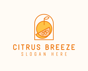Citrus Orange Fruit logo