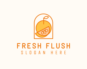 Citrus Orange Fruit logo design