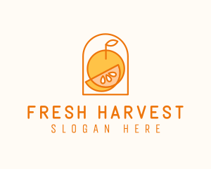 Citrus Orange Fruit logo design