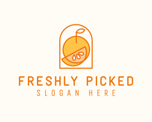 Citrus Orange Fruit logo design