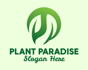 Modern Plant Ornament logo design