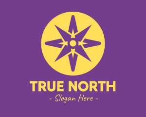 Digital North Star logo design