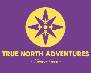 Digital North Star logo design