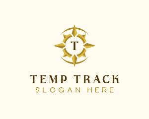 Direction Compass Tracking logo design