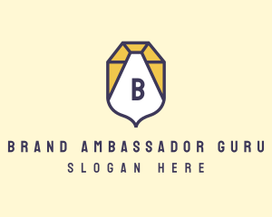 Premium Boutique Shield logo design