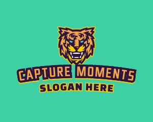 Gamier Wild Cougar logo
