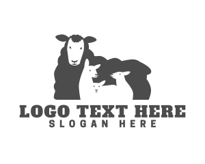 Woolly Lamb Barn logo