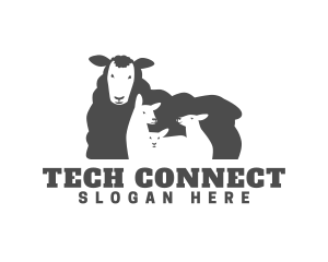 Woolly Lamb Barn logo