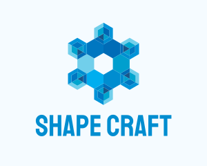 Geometric Hexagon Snowflake logo