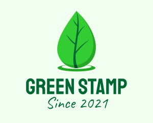 Green Leaf Droplet logo design