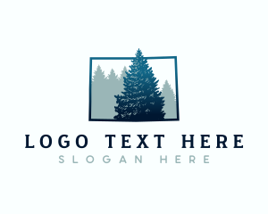 Colorado Spruce Tree Logo